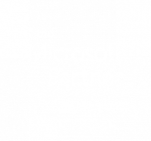 Agile Dynamics Solutions is Leading Microsoft Dynamics 365 Gold Partner in Malaysia and Singapore