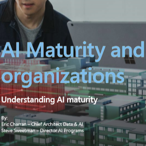 Digital Transformation – AI Maturity and Organizations - Ebook 1