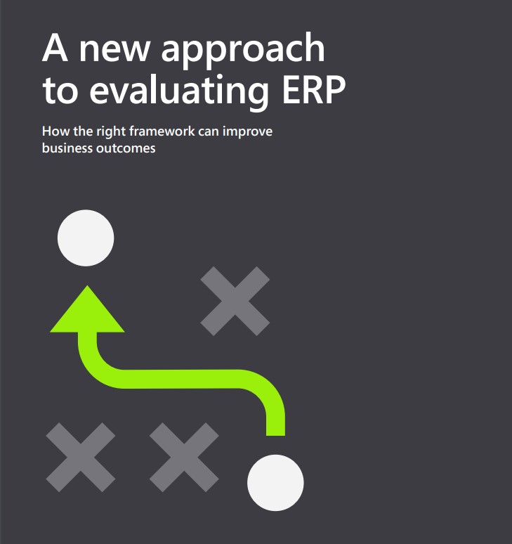 A new approach to evaluating ERP ebook